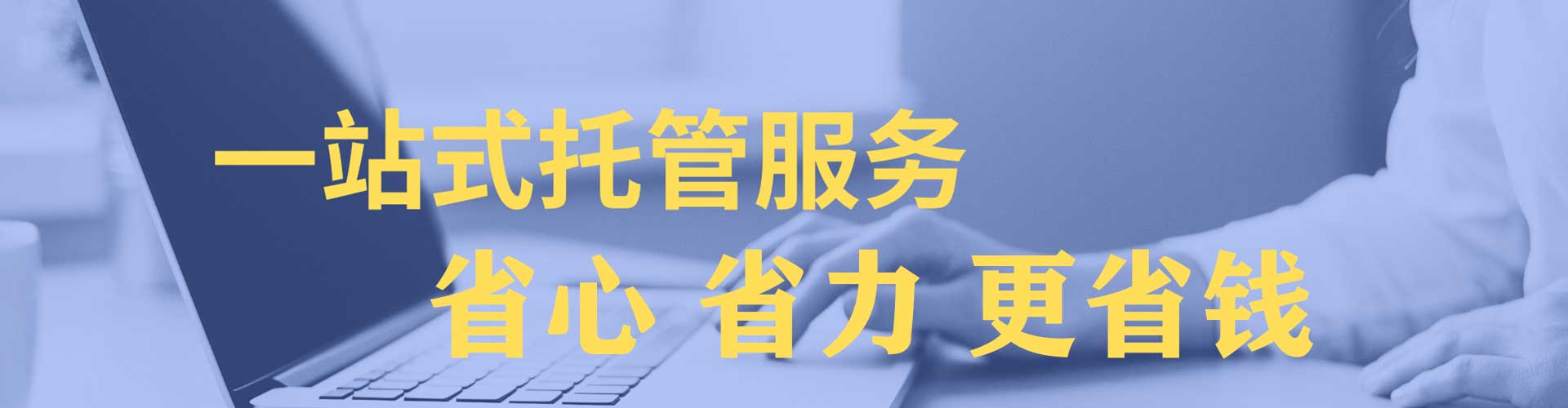沈丘百度竞价运营